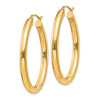 3.5mm Gold Oval Tube Hoop Earrings