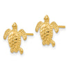 14k Sea Turtle Post Earrings