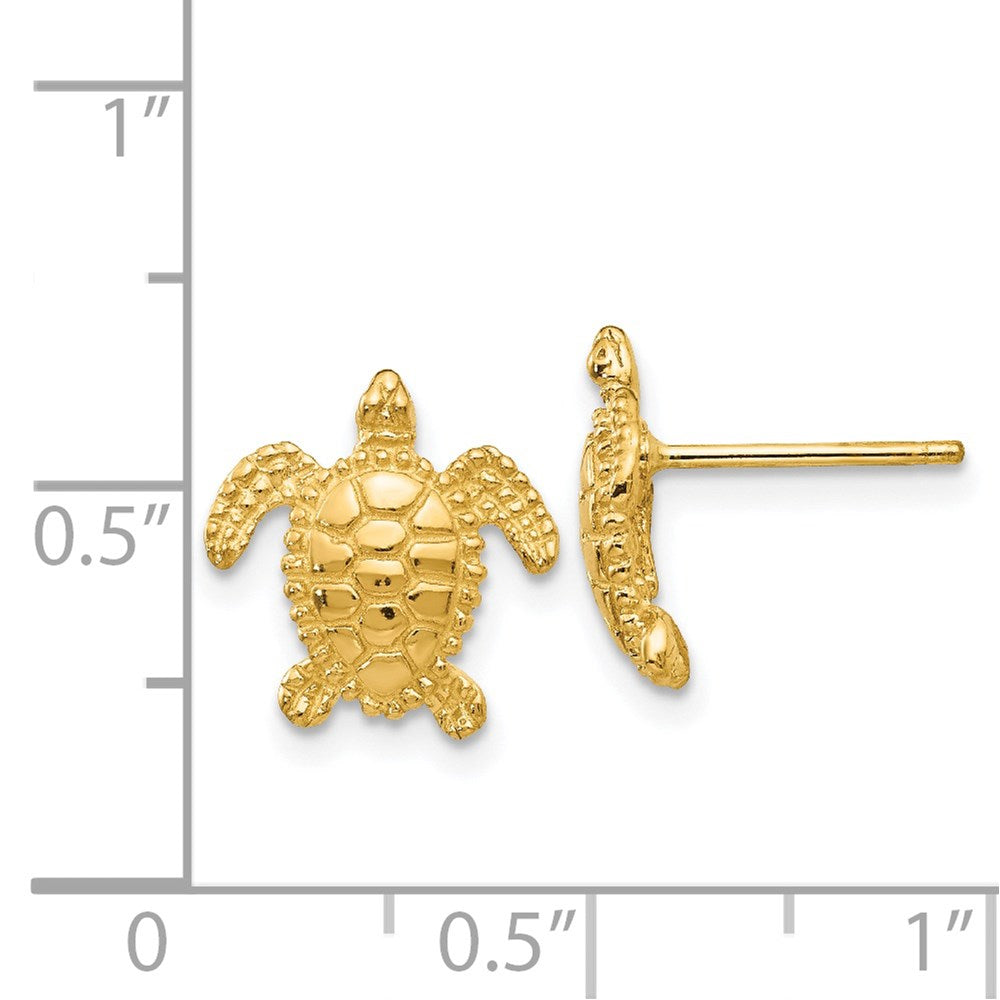 14k Sea Turtle Post Earrings