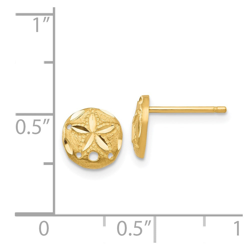 Gold Sand Dollar Post Earrings