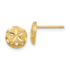 Gold Sand Dollar Post Earrings
