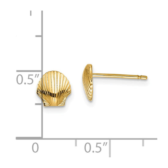 Gold Sea Shell Post Earrings
