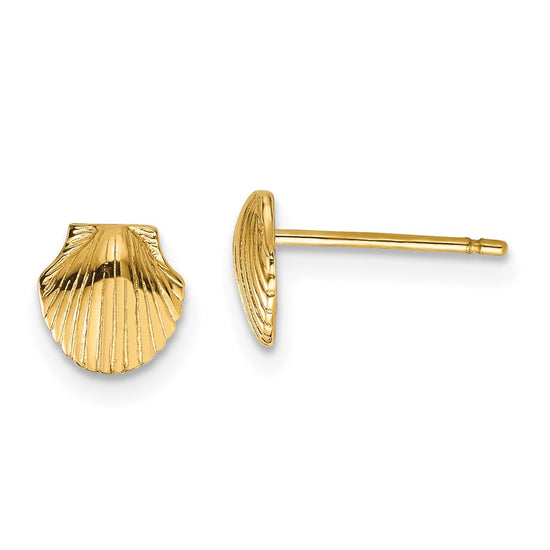 Gold Sea Shell Post Earrings