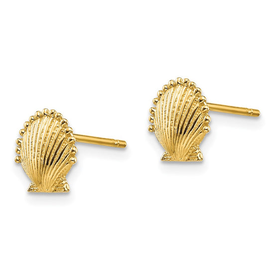 Gold Sea Shell Post Earrings