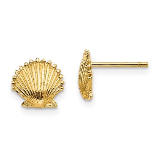 Gold Sea Shell Post Earrings