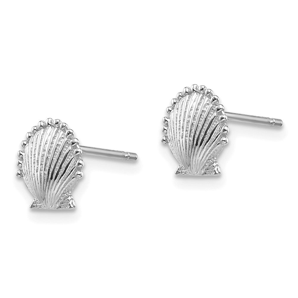 Gold Sea Shell Post Earrings