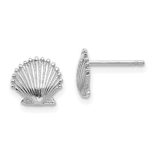 Gold Sea Shell Post Earrings