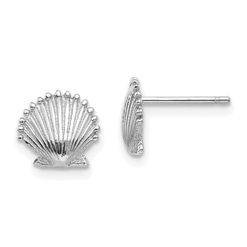 Gold Sea Shell Post Earrings