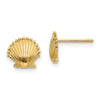 Gold Sea Shell Post Earrings