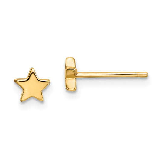Gold Star Post Earrings