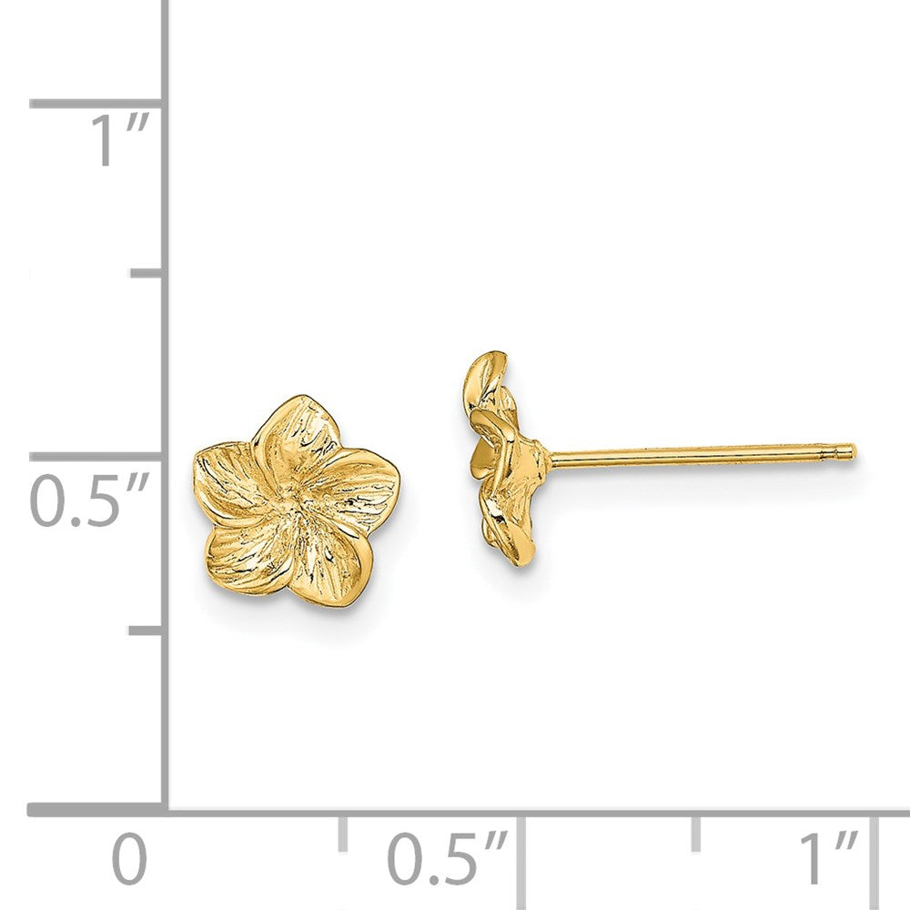 14K Textured Plumeria Flower Post Earrings