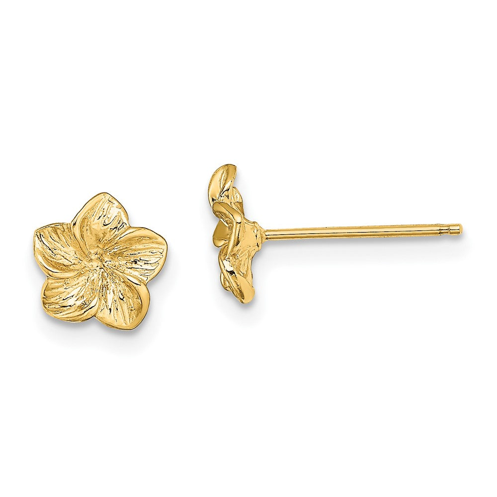 14K Textured Plumeria Flower Post Earrings