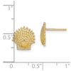 Gold Sea Shell Post Earrings