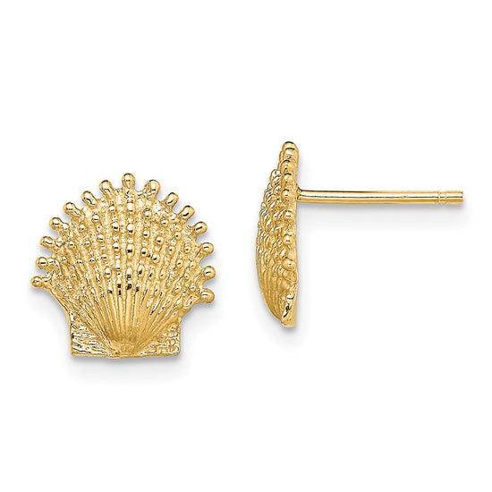 Gold Sea Shell Post Earrings