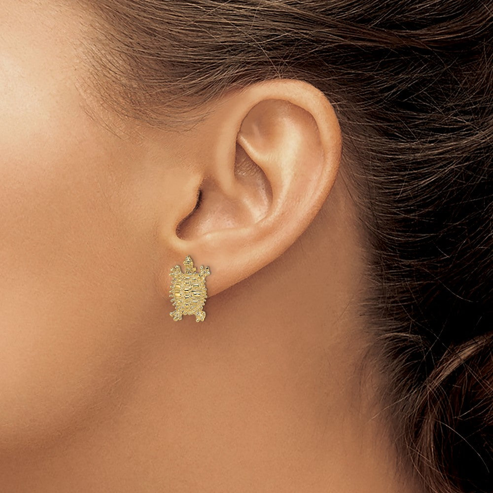 14K Textured Land Turtle Post Earrings