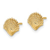 Gold Sea Shell Post Earrings