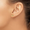 Gold Sea Shell Post Earrings