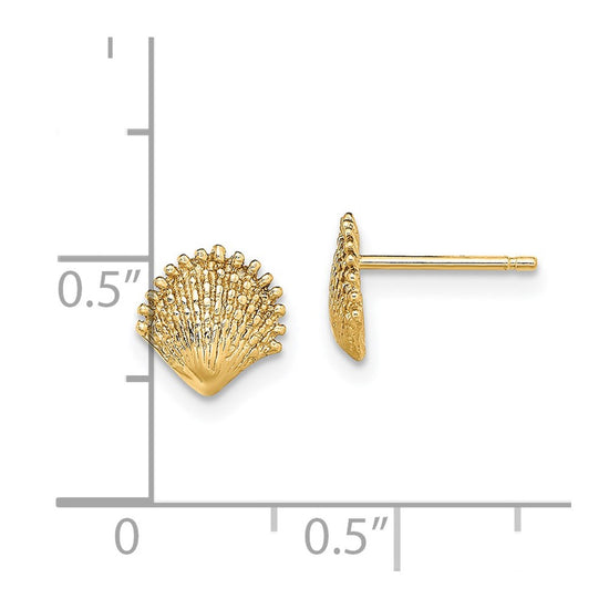 Gold Sea Shell Post Earrings