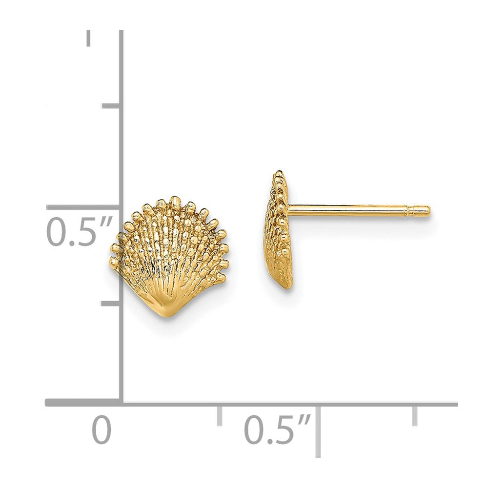 Gold Sea Shell Post Earrings
