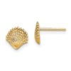 Gold Sea Shell Post Earrings