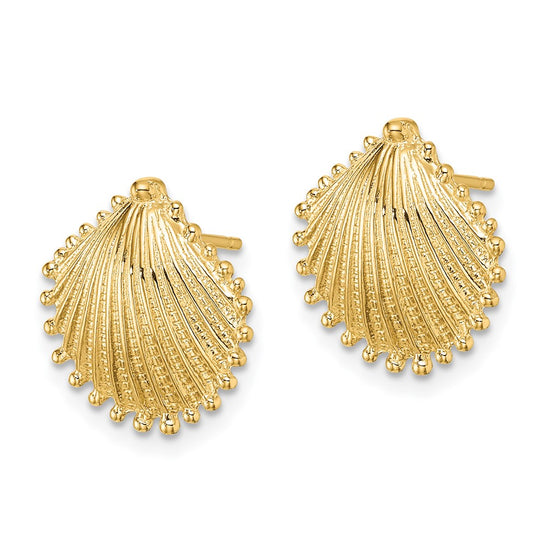 Gold Sea Shell Post Earrings