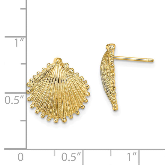 Gold Sea Shell Post Earrings