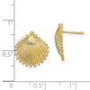 Gold Sea Shell Post Earrings