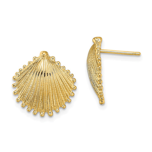 Gold Sea Shell Post Earrings