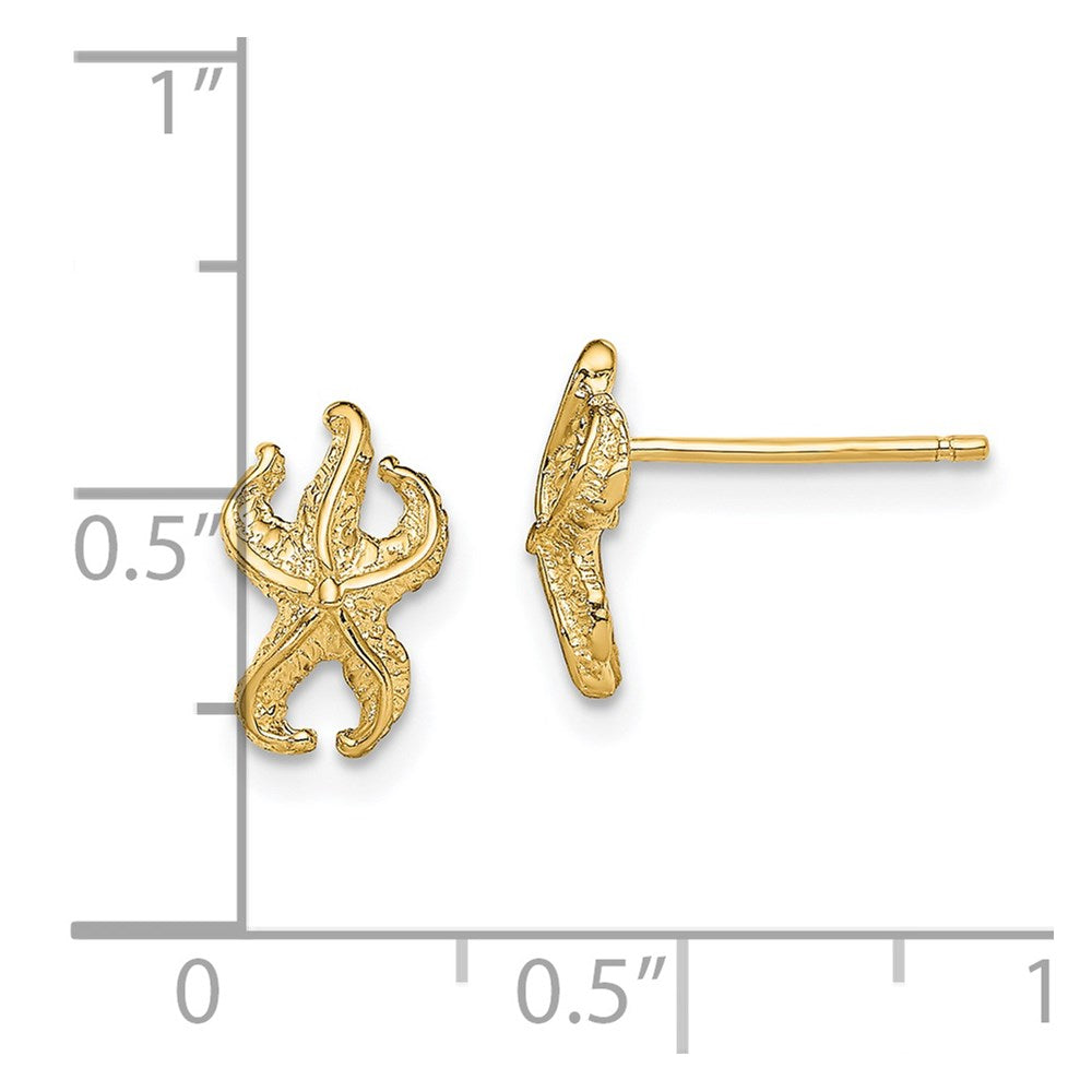 14K Starfish Post Earrings