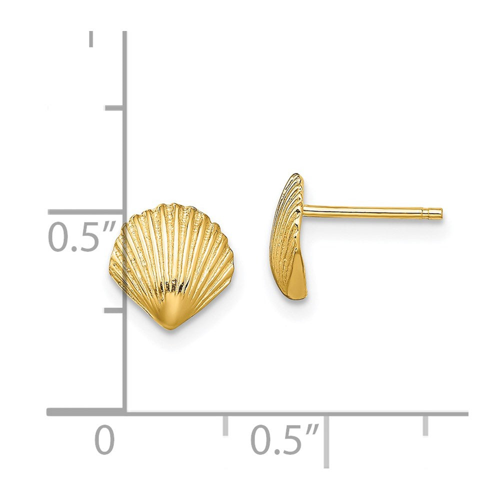 Gold Sea Shell Post Earrings