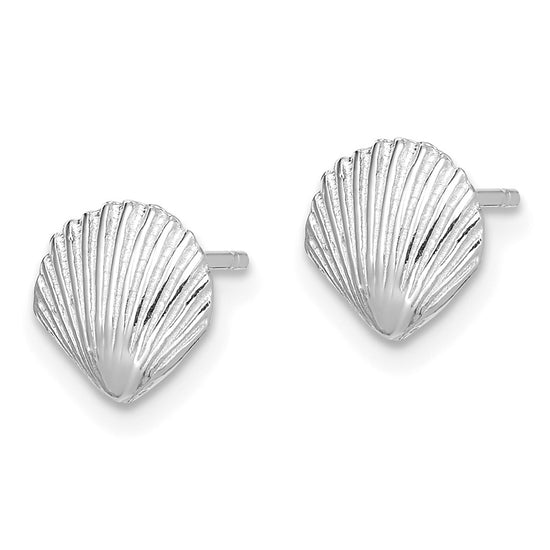 Gold Sea Shell Post Earrings
