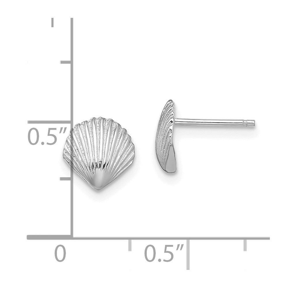 Gold Sea Shell Post Earrings