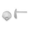 Gold Sea Shell Post Earrings