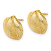 Gold Clam Shell Post Earrings