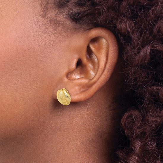 Gold Clam Shell Post Earrings