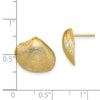 Gold Clam Shell Post Earrings