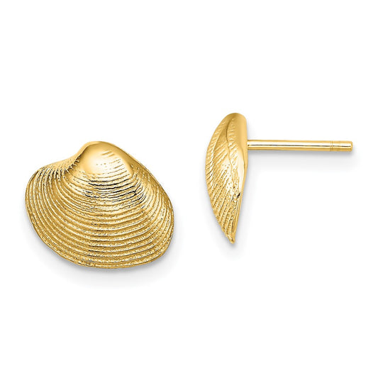 Gold Clam Shell Post Earrings