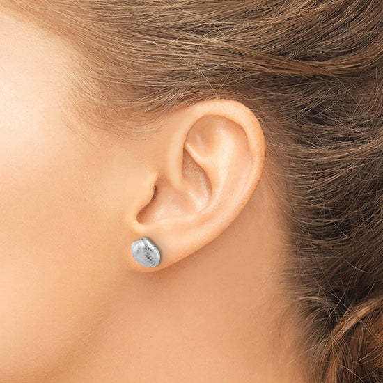 Gold Clam Shell Post Earrings