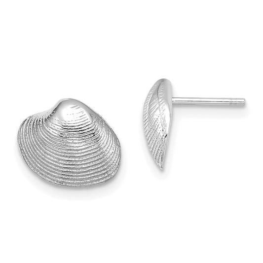 Gold Clam Shell Post Earrings