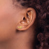 14K Mini Humpback Whale Post Earrings