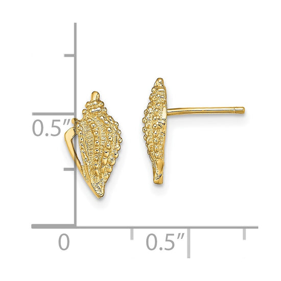 14K Mini Conch Shell Post Earrings