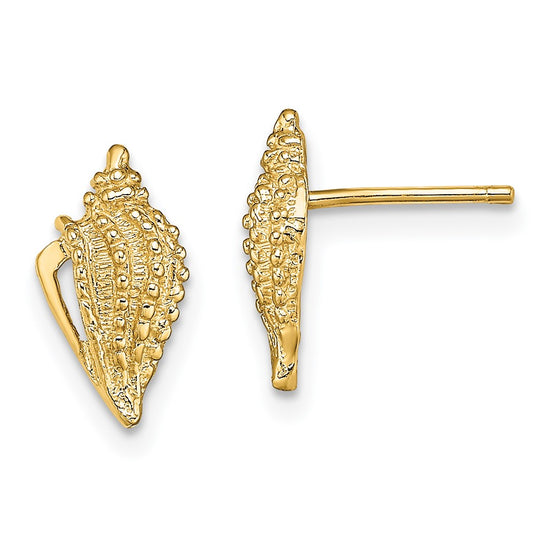 14K Mini Conch Shell Post Earrings