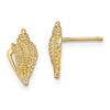 14K Mini Conch Shell Post Earrings