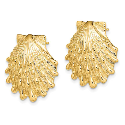 14K Lion's Paw Shell Post Earrings