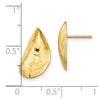 14K Mussel Shell Post Earrings