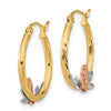 Gold Tri-color Guadalupe Hoop Earrings