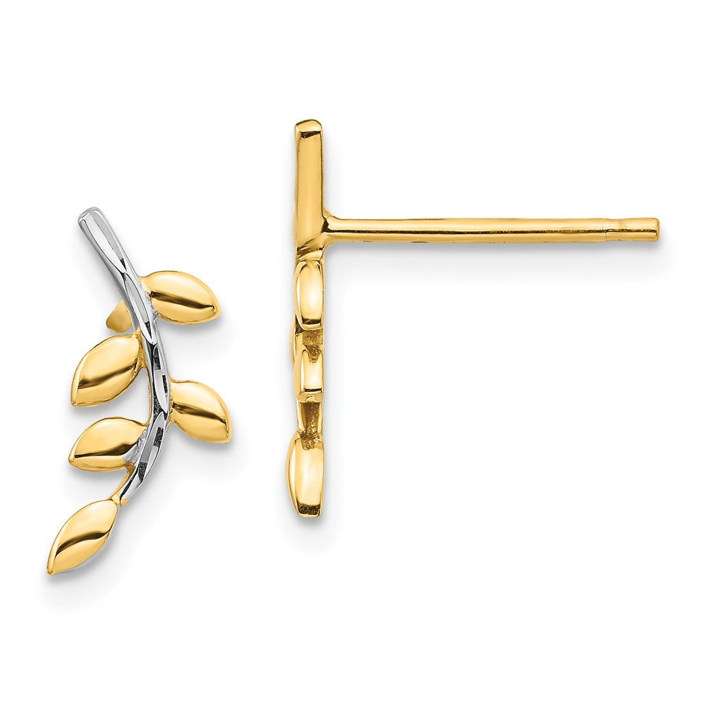 14K and White Rhodium Leaves Post Earrings