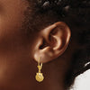 Gold Sea Shell Leverback Earrings
