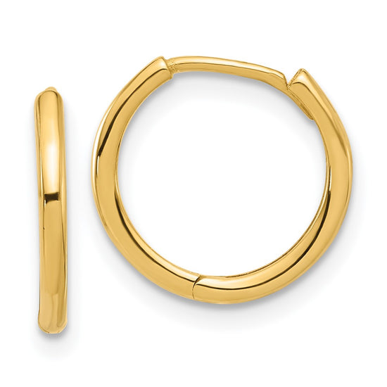 Gold Hinged Hoop Earrings