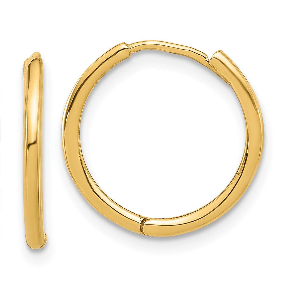 Gold Hinged Hoop Earrings